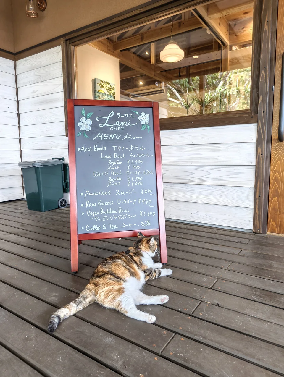 Lani Cafeの手描きメニューボードの前でくつろぐ猫